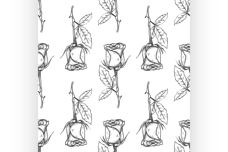 vector-hand-drawn-rose-seamless-pattern