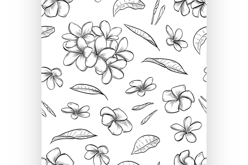 vector-seamless-pattern-of-plumeria-flowers
