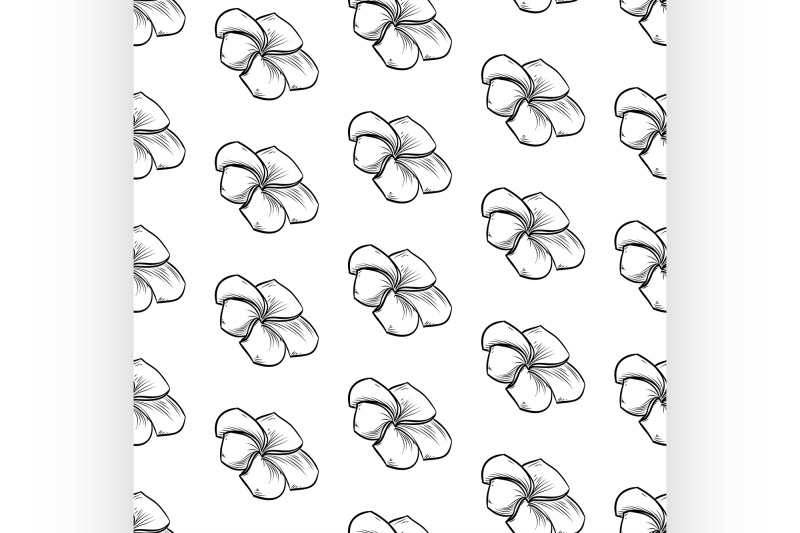 vector-seamless-pattern-of-plumeria-flowers