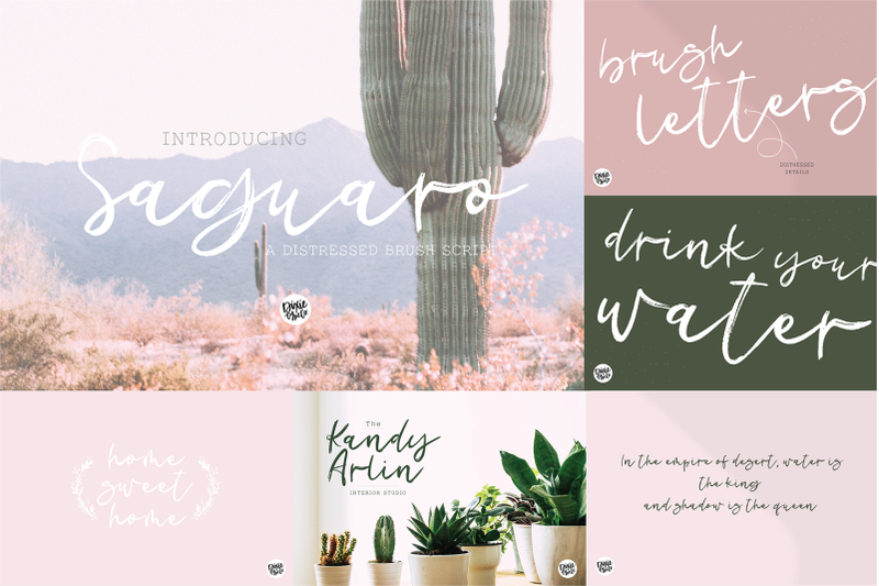 desert-dreams-hand-lettered-brush-font-bundle