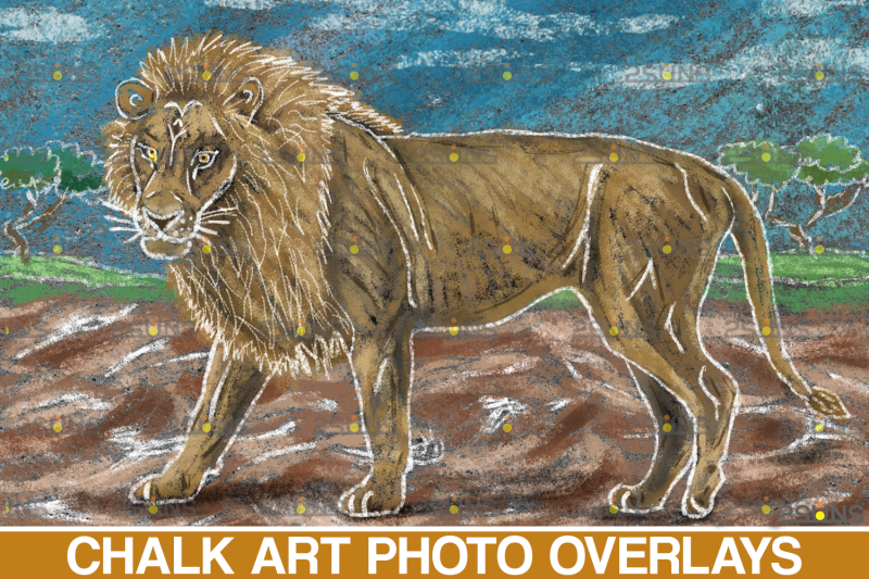 sidewalk-chalk-art-overlay-lion-backdrop-and-safari