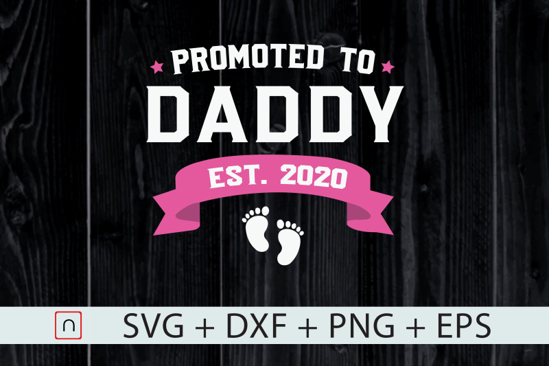 promoted-to-dady-est-2020-new-dad-gift
