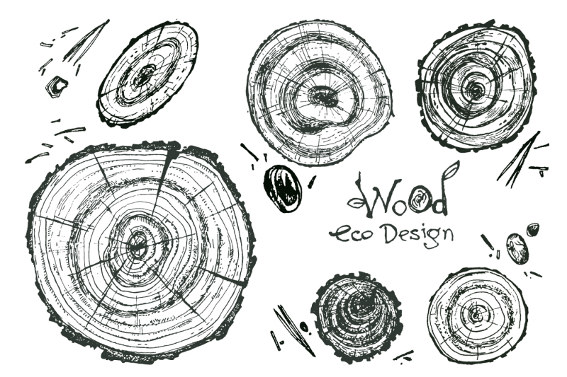wooden-eco-design-vector-wood-slice