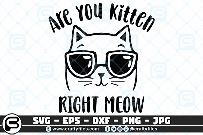 are-you-ketten-me-right-now-svg-cute-cat-with-sunglasses-svg