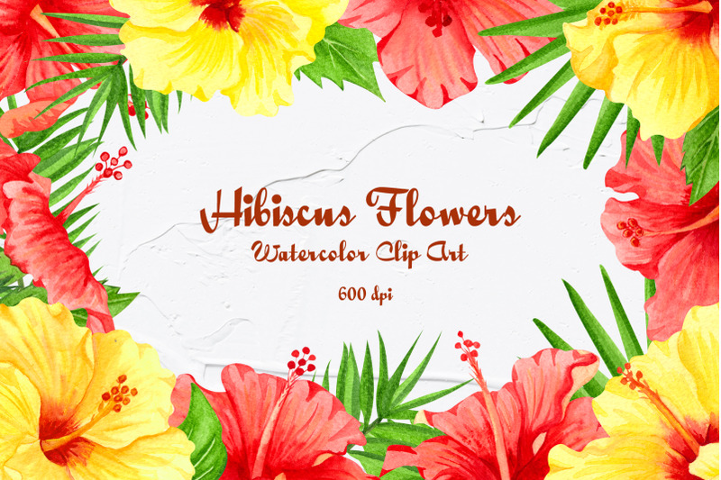 hibiscus-flowers-watercolor-clip-art