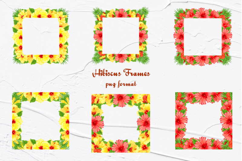 hibiscus-flowers-watercolor-clip-art