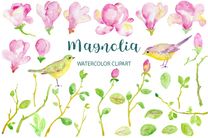 watercolor-clipart-magnolia