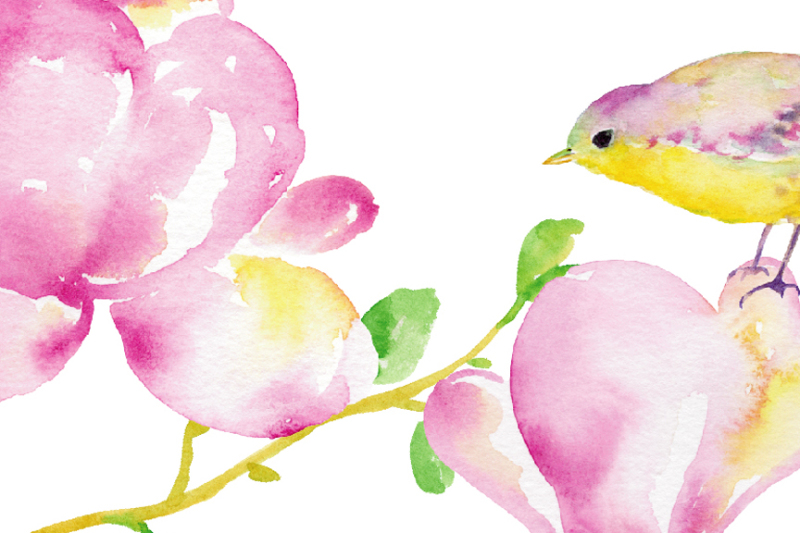 watercolor-clipart-magnolia