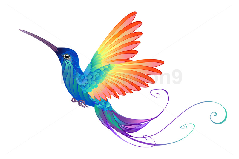 bright-rainbow-hummingbird