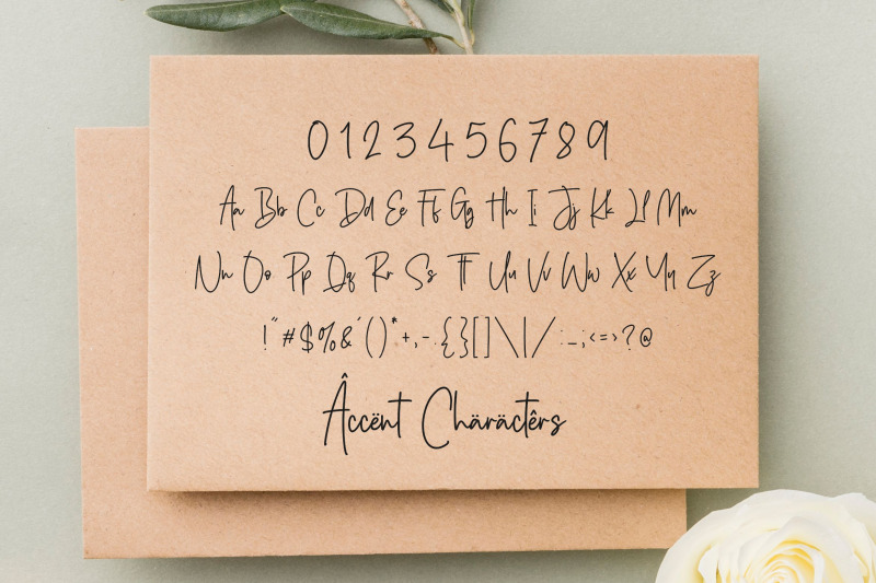 silver-buttercup-monoline-handwritten-font