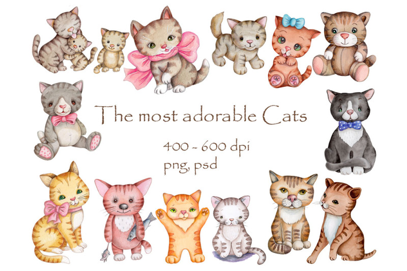 the-most-adorable-cats-watercolor-illustrations