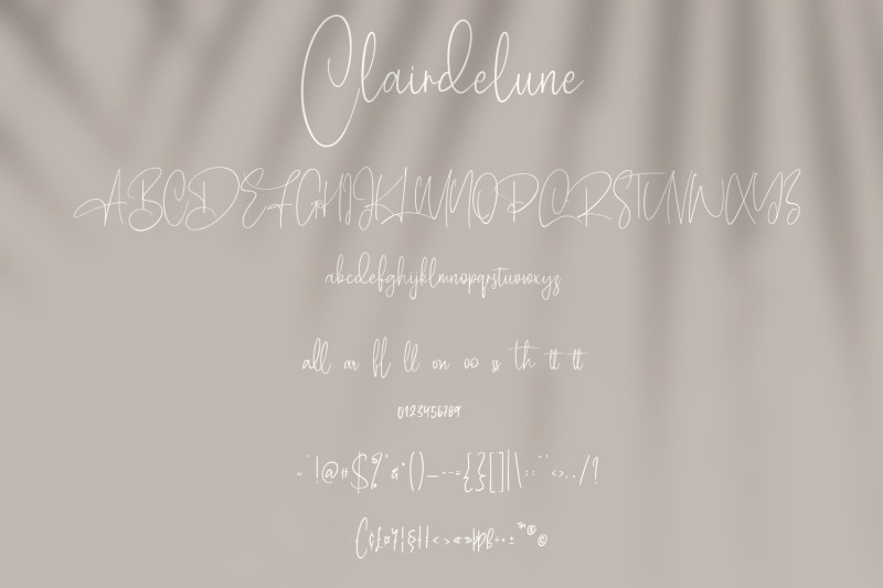 clairdelune-calligraphy-modern-script-brush-font