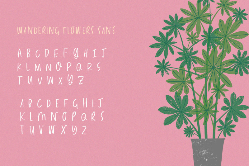 wandering-flowers-font-duo-font-duo-instagram-fonts-handwriting-fon