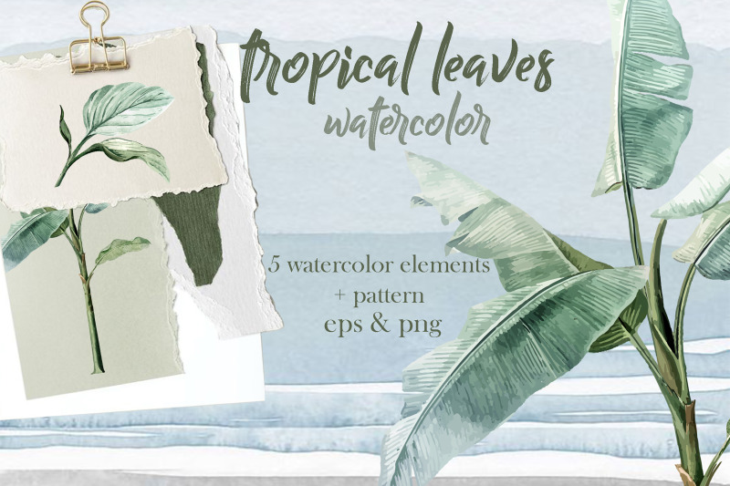 tropical-palm-watercolor-vector