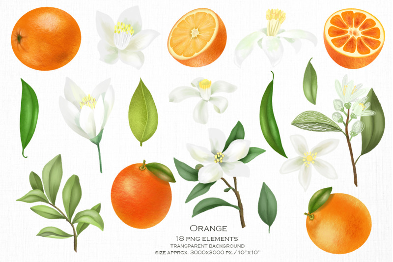 mandarine-amp-orange-collection
