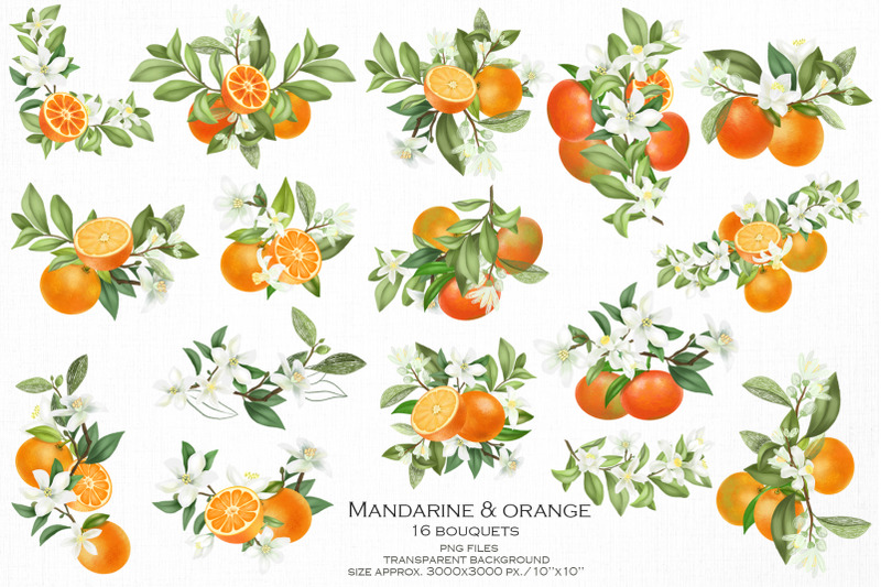 mandarine-amp-orange-collection