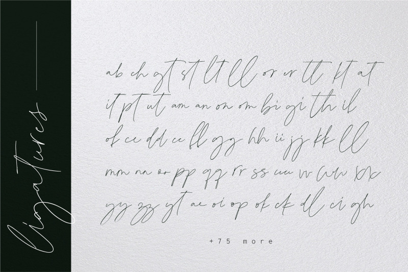 bedley-handwritten-font