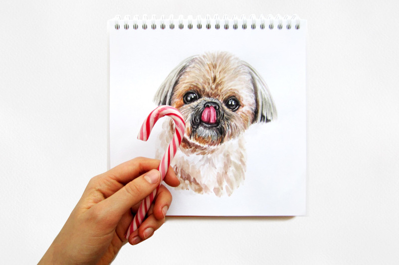 shih-tzu-watercolor-dog-illustrations-cute-6-dog