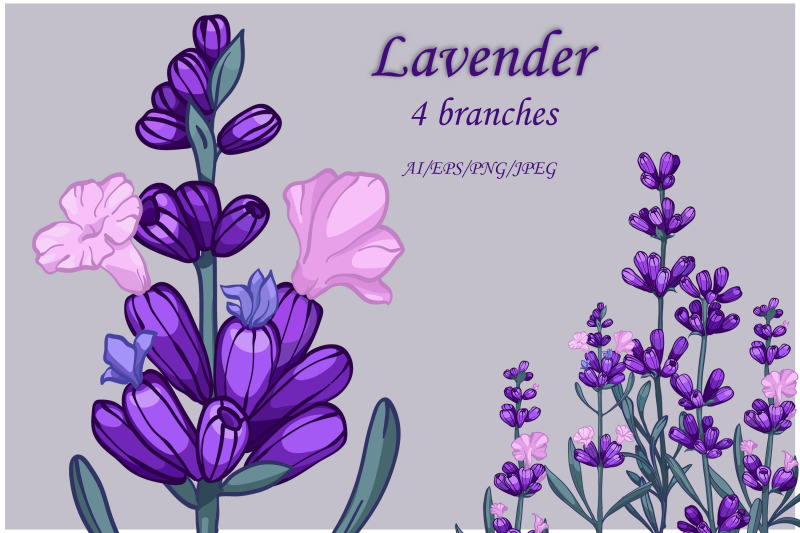 vector-hand-painted-lavender-clipart