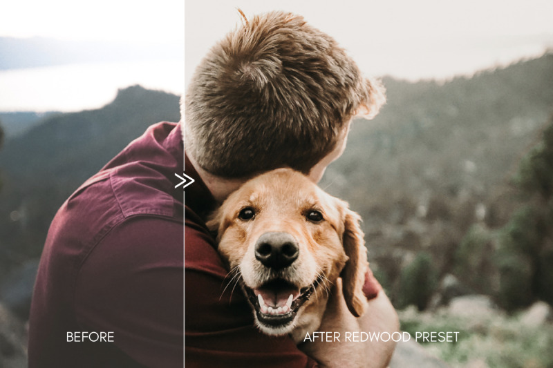 moody-pet-photography-kit-the-great-outdoors-lightroom-desktop-mobil