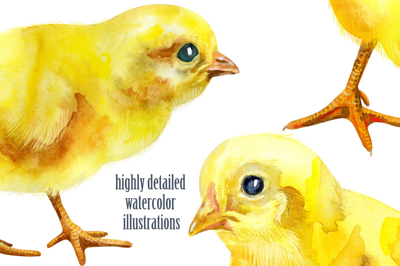 watercolor-yellow-chickens