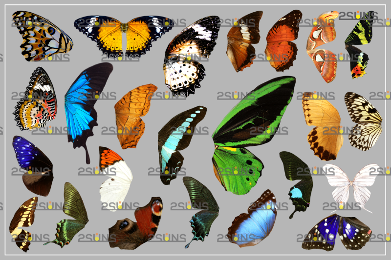 colorful-butterfly-wings-overlay-photoshop-overlay