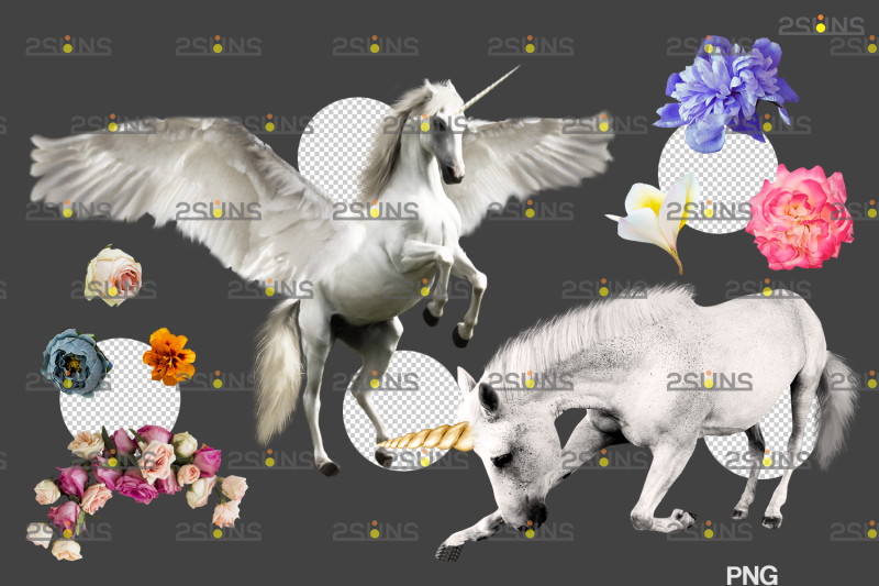 unicorn-overlay-amp-flower-backdrop-white-horse-png-overlays