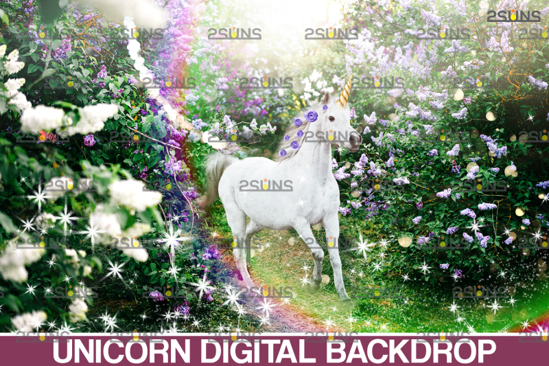 unicorn-overlay-amp-flower-backdrop-white-horse-png-overlays