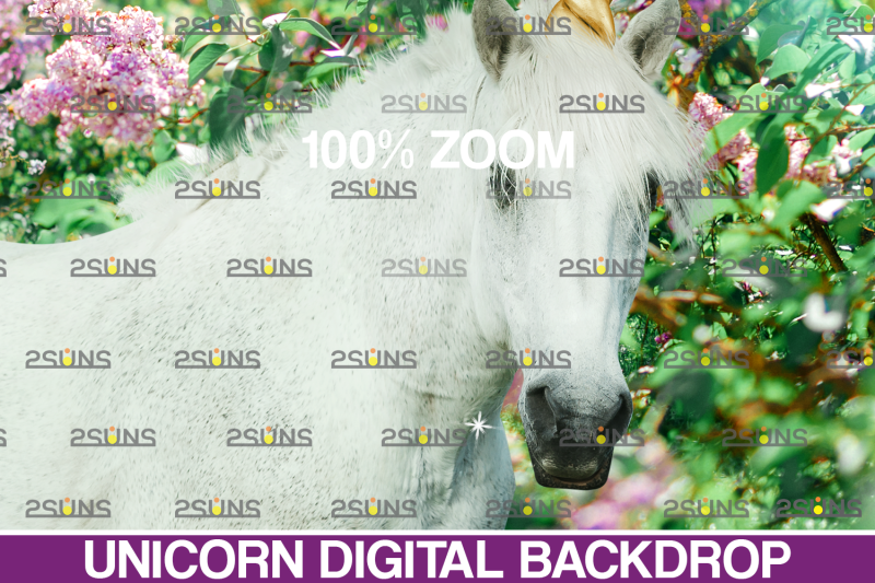 majestic-unicorn-backdrop-amp-flower-backdrop-photoshop