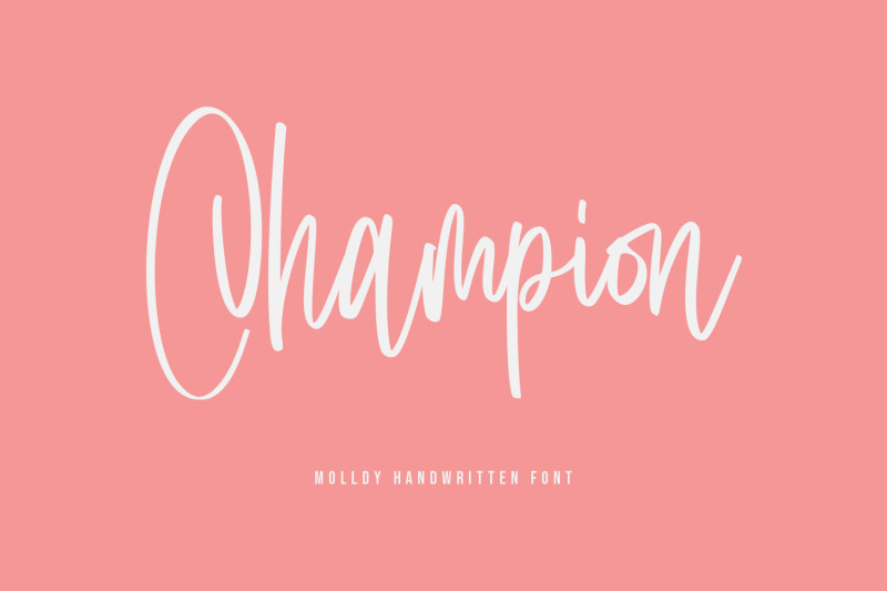 molldy-handwritten-modern-script-font-brush-type