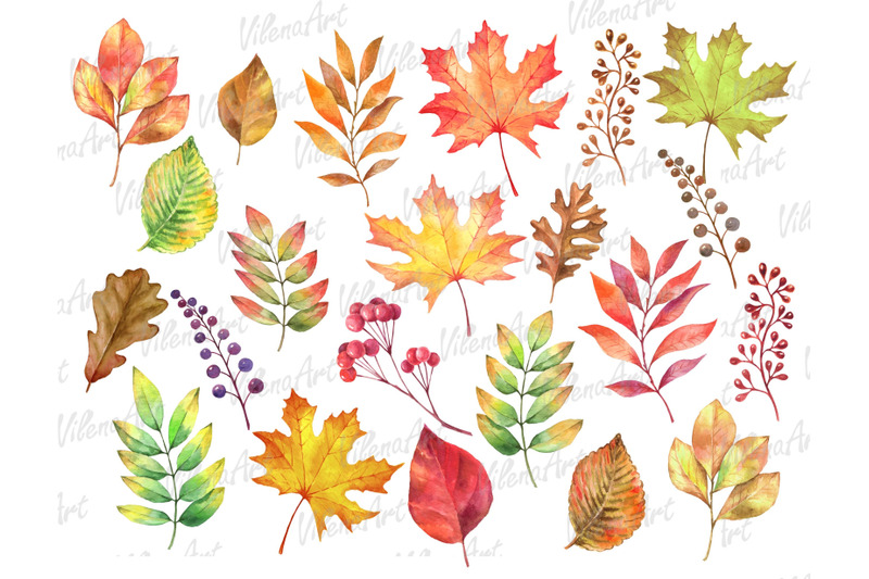 watercolor-autumn-leaves-clipart-png-maple-oak-leaves