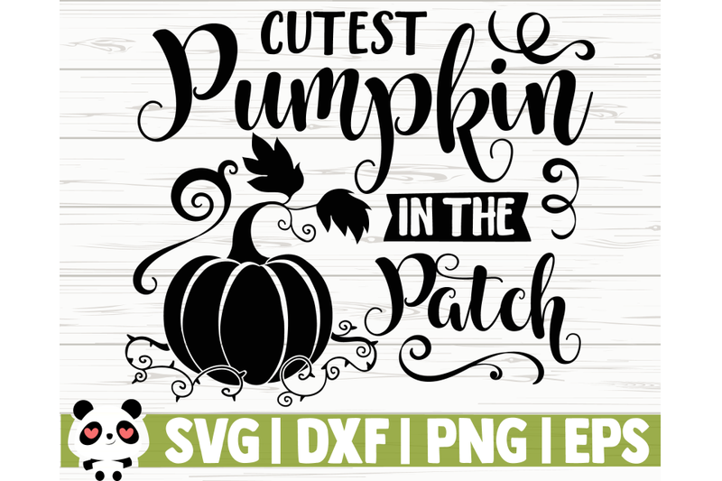 cutest-pumpkin-in-the-patch