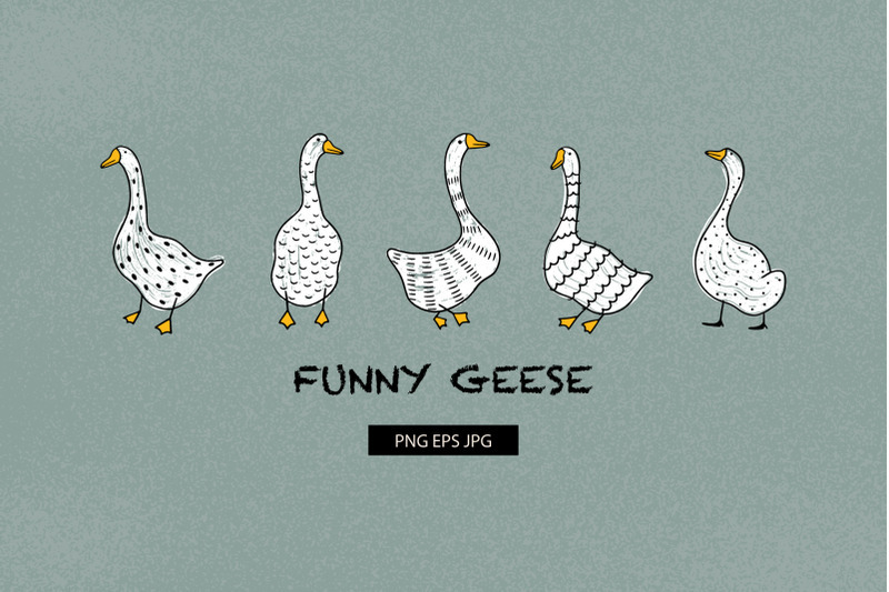 funny-geese