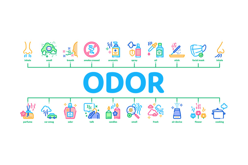 odor-aroma-and-smell-minimal-infographic-banner-vector