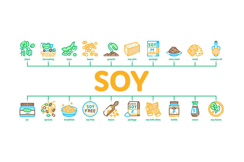 soy-bean-food-product-minimal-infographic-banner-vector