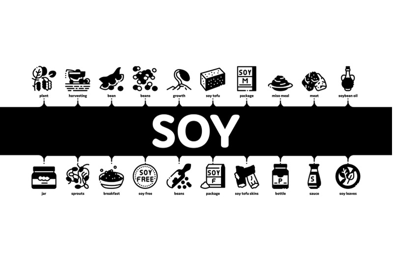 soy-bean-food-product-minimal-infographic-banner-vector