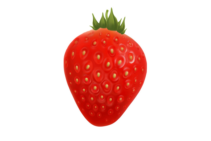 strawberry-agriculture-farm-delicious-berry-vector