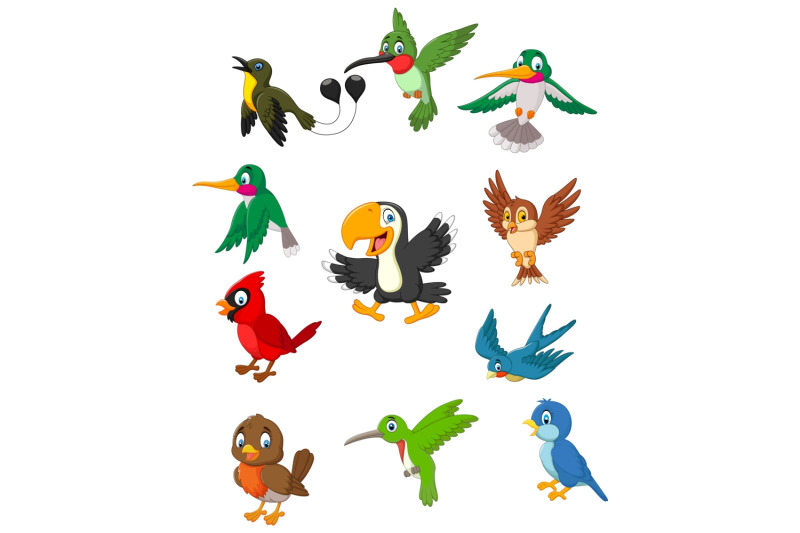 cartoon-birds-vector-set