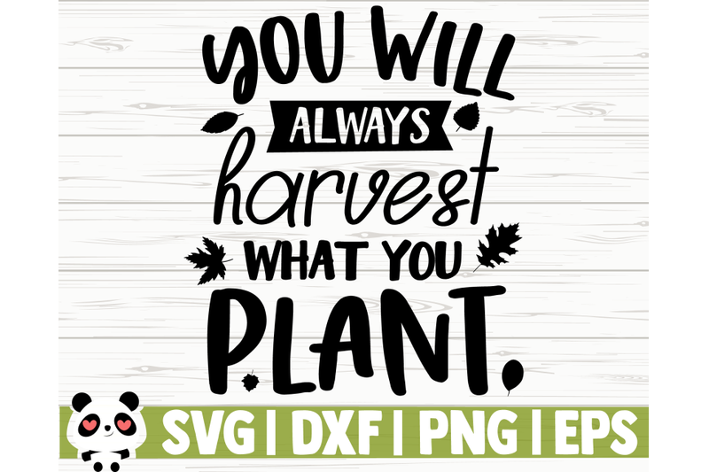 you-will-always-harvest-what-you-plant