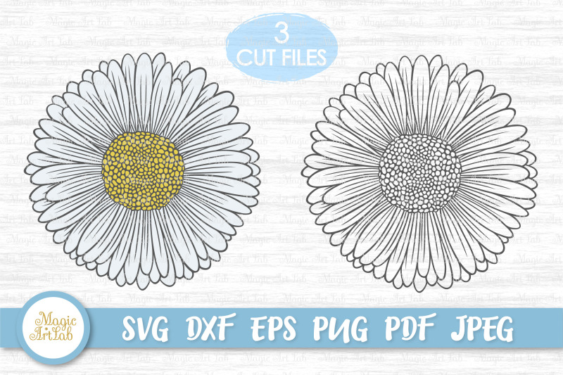 Free Free 80 Cricut Daisy Flower Svg SVG PNG EPS DXF File