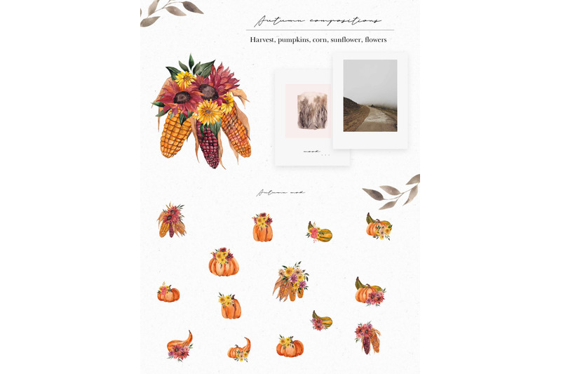 one-day-in-the-fall-aesthetic-watercolor-collection