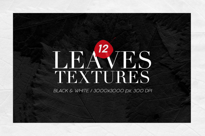 12-black-amp-white-leaves-textures