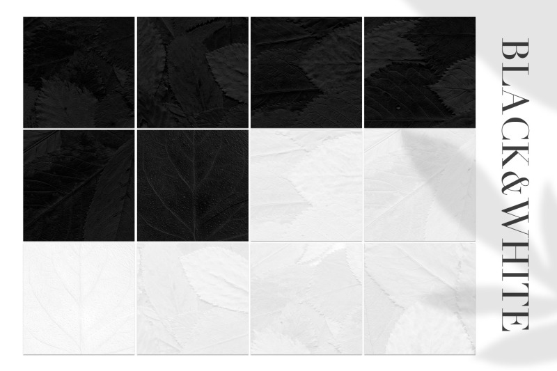 12-black-amp-white-leaves-textures