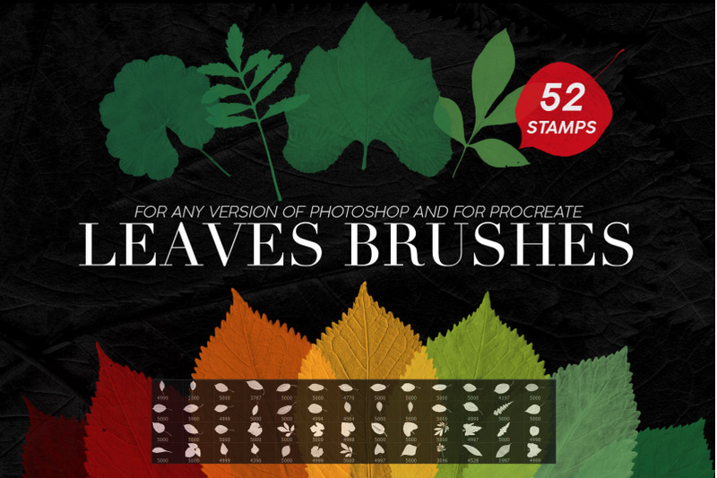 leaves-photoshop-stamp-brushes