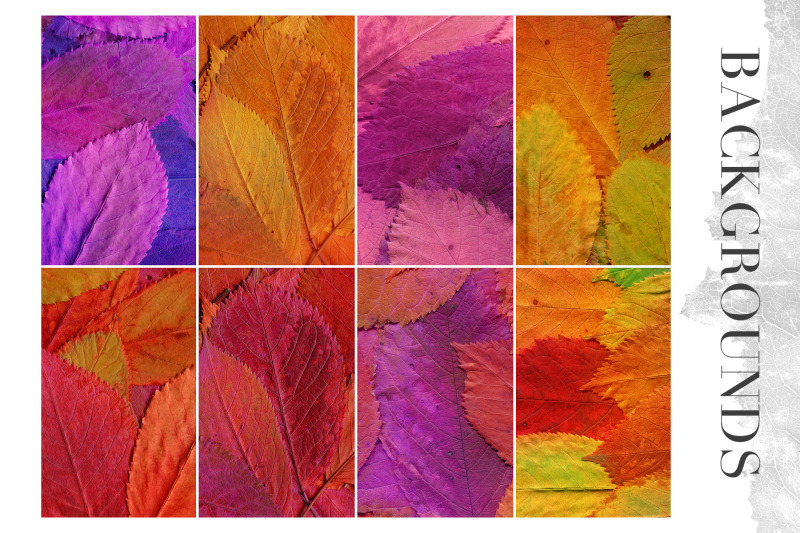 20-colorful-leaves-backgrounds