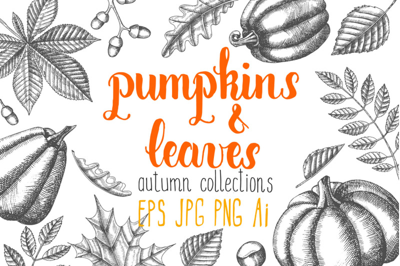 vector-pumpkin-and-leaves-set-autumn-collection