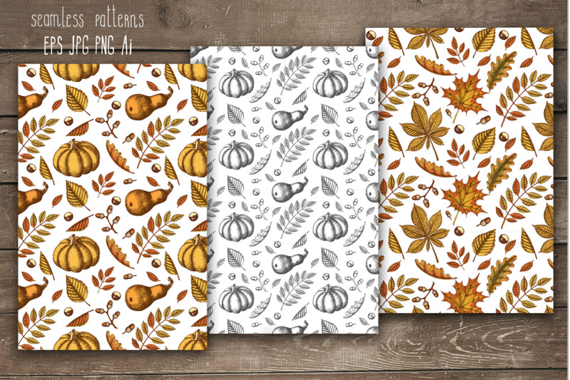 vector-pumpkin-and-leaves-set-autumn-collection