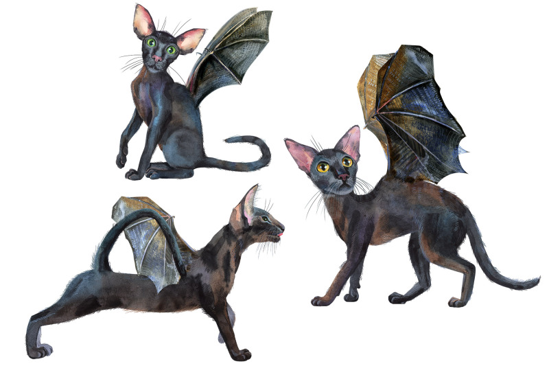 watercolor-black-cats-with-bat-wings