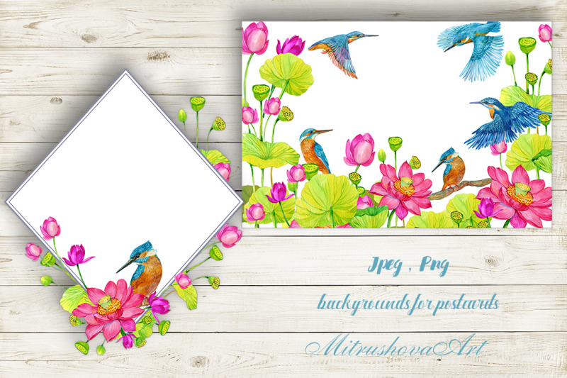 kingfisher-and-lotus-flowers-clipart