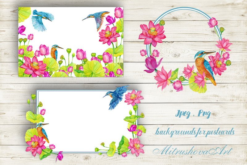 kingfisher-and-lotus-flowers-clipart